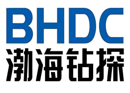 bhdc removebg preview